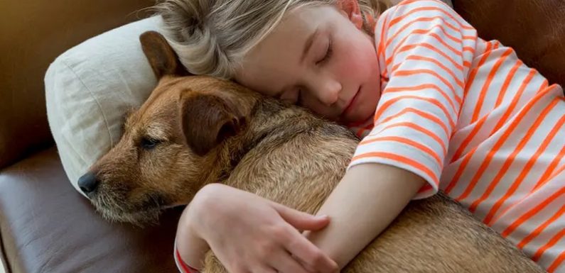 How to Help Your Children Survive the Loss of Pets?